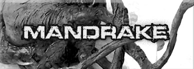 simon lee spiderzero mandrake resin kit