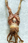 spiderzero simon lee mandrake sculpture resin model