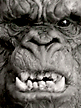 spiderzero King Kong