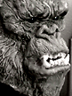 spiderzero King Kong