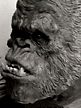 spiderzero King Kong