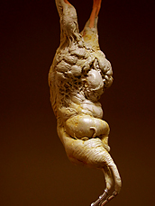 spiderzero mandrake creature design
