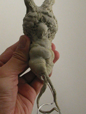 spiderzero mandrake creature design