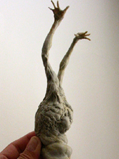 spiderzero mandrake creature design