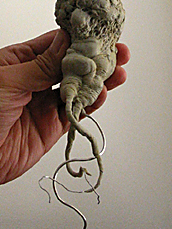 spiderzero mandrake creature design