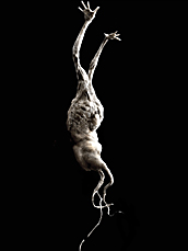 spiderzero mandrake creature design