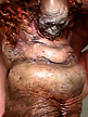 Simon Lee spiderzero mandrake design sculpture