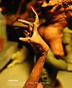 Simon Lee Spiderzero Medusa sculpture