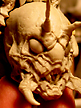spiderzero LION Monstromemiya