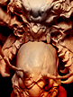 spiderzero LION Monstromemiya