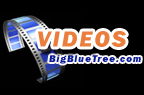 Simon Lee Spiderzero BigBlueTree.com videos