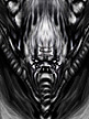 spiderzero