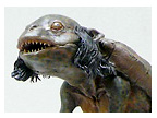 Spiderzero Simon Lee Kappa Figure Contenst 